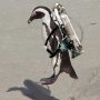 Benutzeravatar