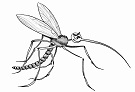 Benutzeravatar