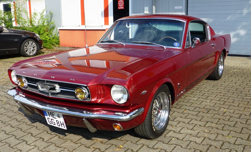 Thomas_P6_Fastback1.jpg