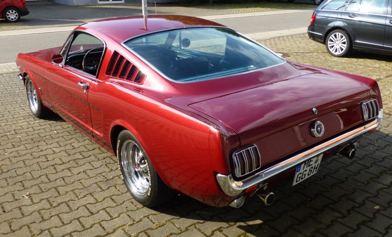Thomas_P6_Fastback2.jpg