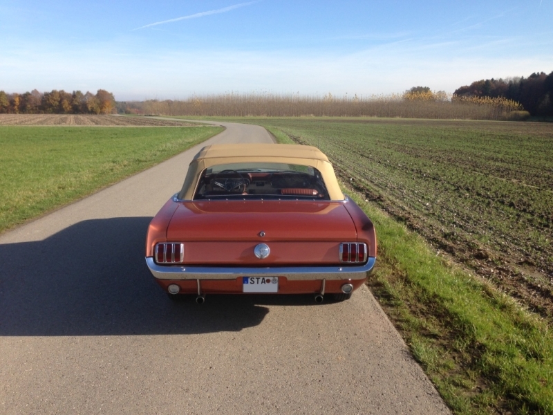 03 - Heckansicht.jpg