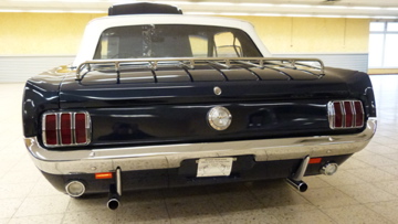 P1050237.jpg
