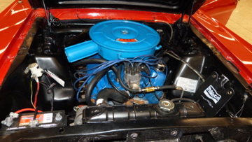 P1050243.jpg