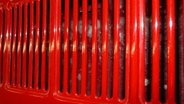 P1050247.jpg