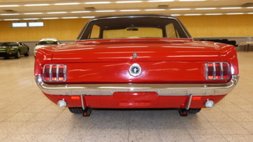 P1050250.jpg