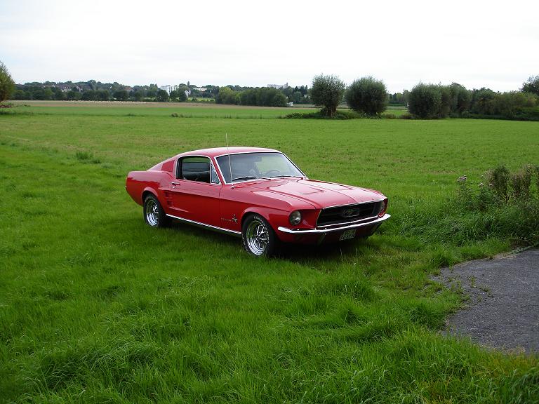 67_Fastback_1.JPG