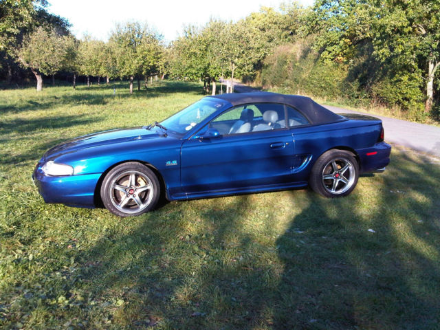 Blauer Mustang5.jpg