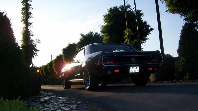 686868 (800x450).jpg