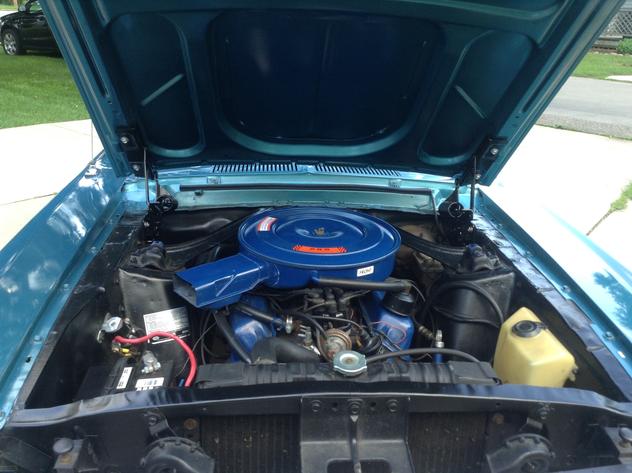 0_mustang7.jpg