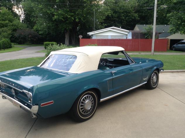 0_mustang13.jpg