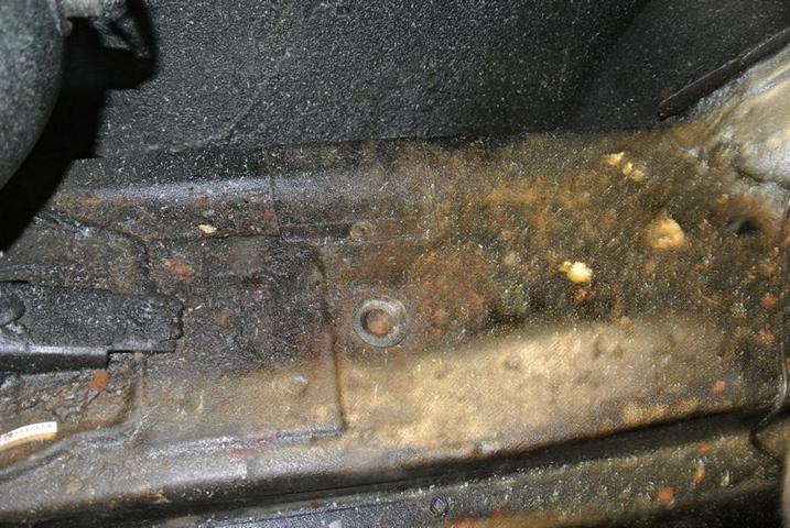 DSC_6567.JPG
