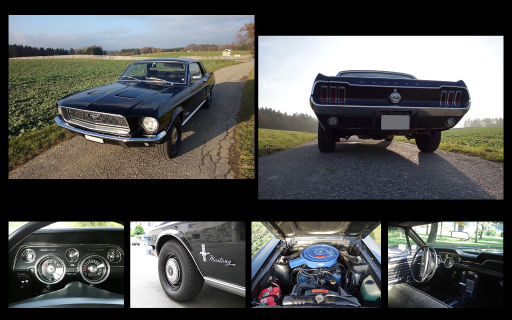 Mustang_small.jpg