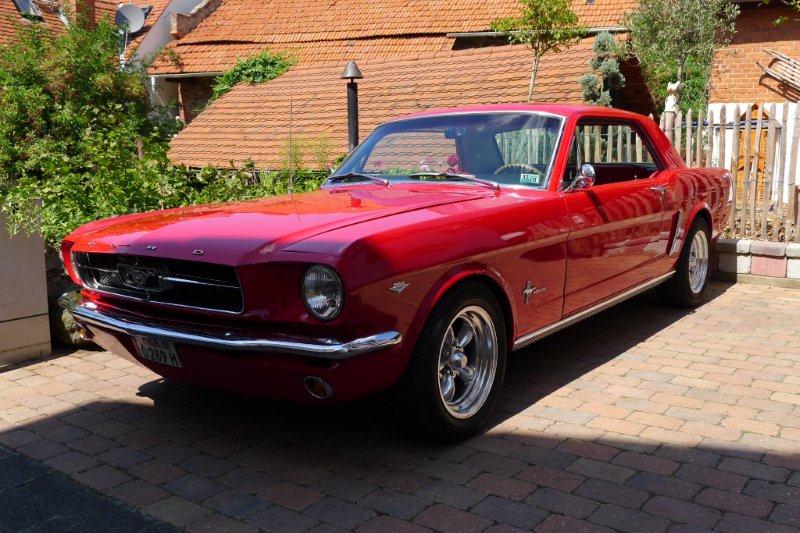 Mustang64.jpg