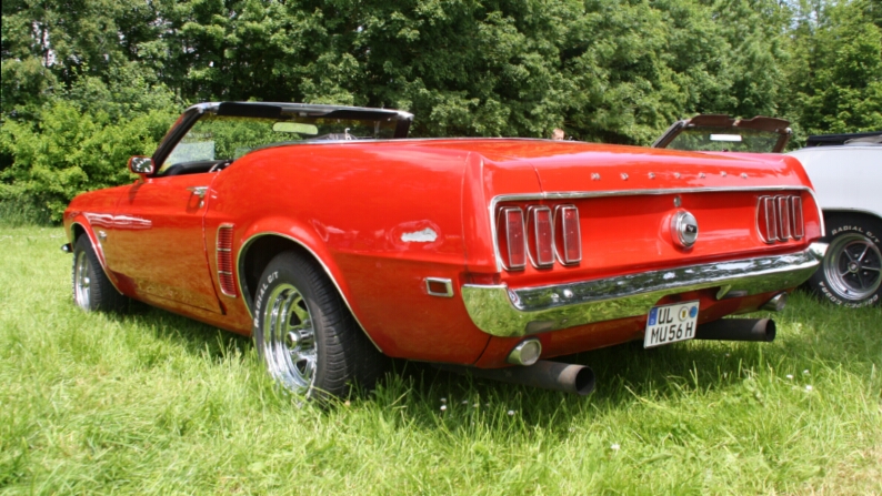 Mustang Heck.jpg