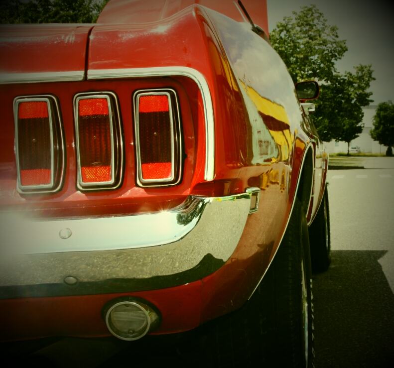Mustang Seite.jpg