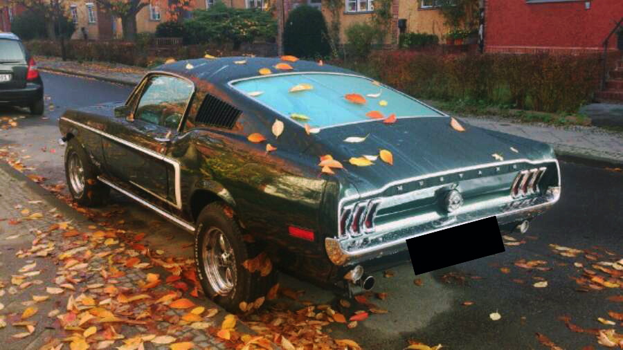 Fastback in meiner Nachbarschaft