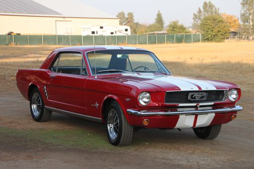 mustang1.jpg