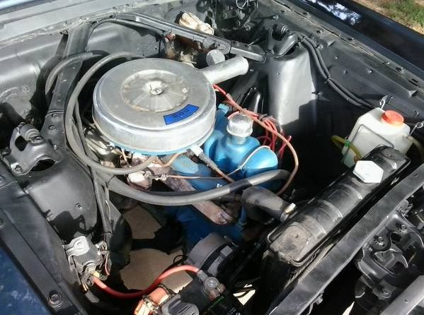 Mustang 8.JPG