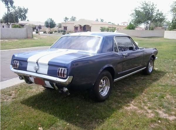 Mustang 2.JPG