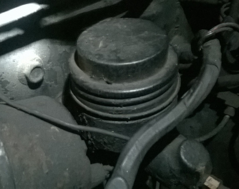 WP_20150420_013.jpg