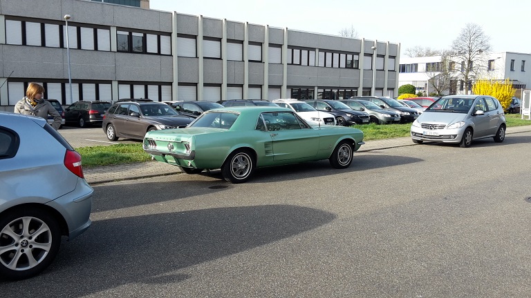 20150408_090406.jpg