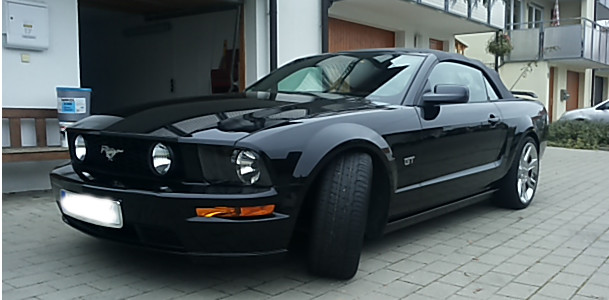 Stang1.jpg