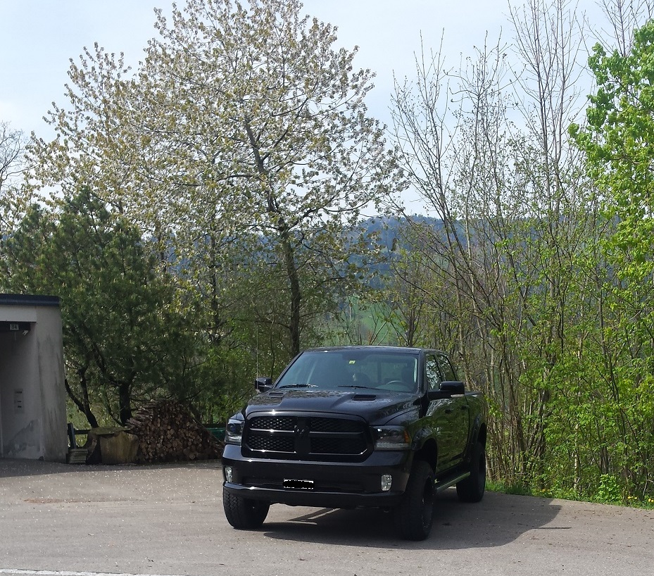 20150429_115437.jpg