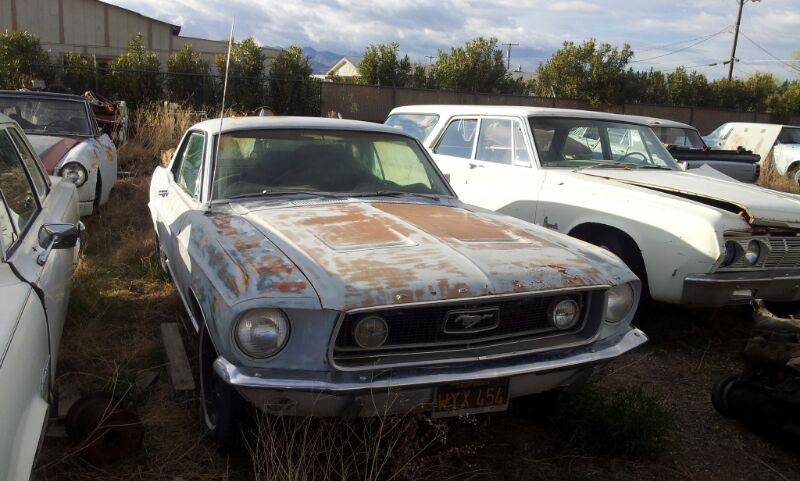 IMG-20130310-WA0000.jpg