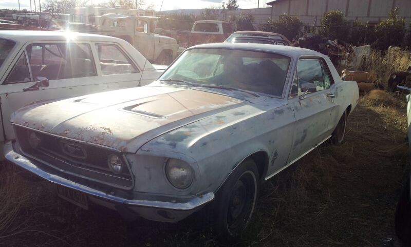 IMG-20130310-WA0001.jpg