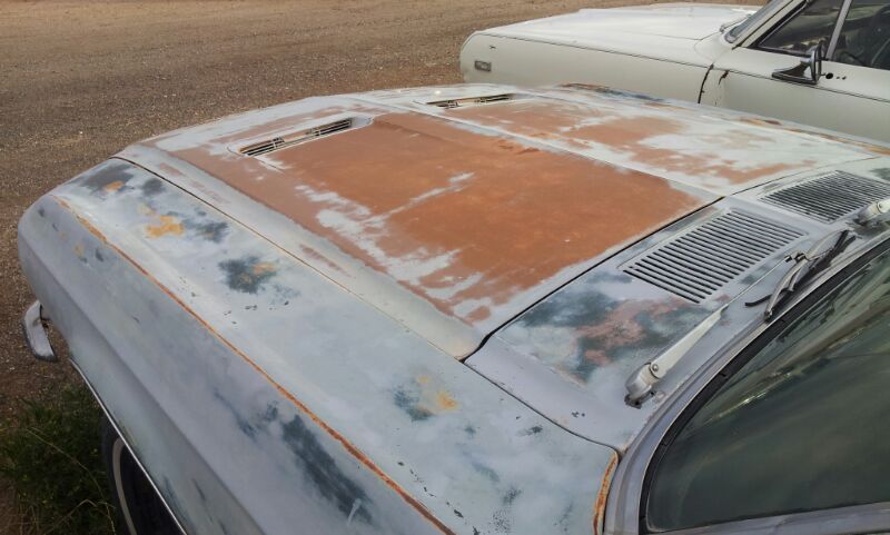 IMG-20130310-WA0005.jpg