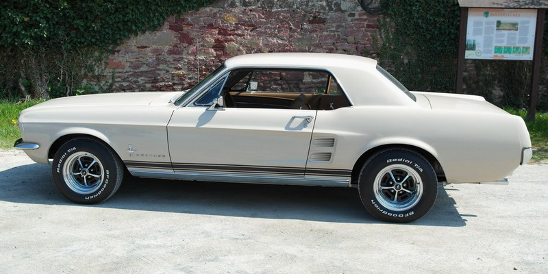 Mustang67er.jpg