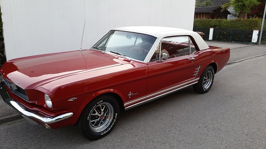 Mustang.jpg