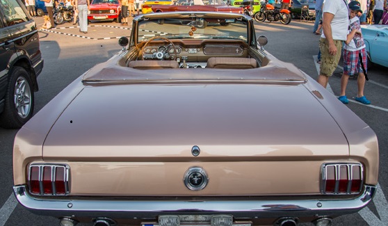 M2.jpg