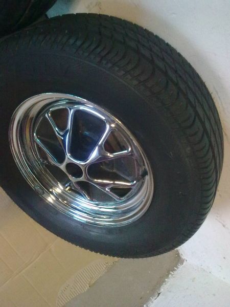 mustang pojedynka.jpg