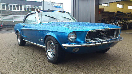 DSC_1127.jpg