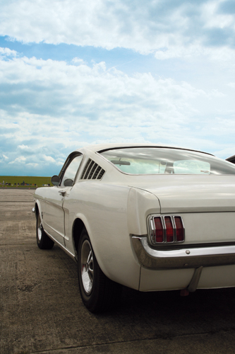 Fastback.jpg