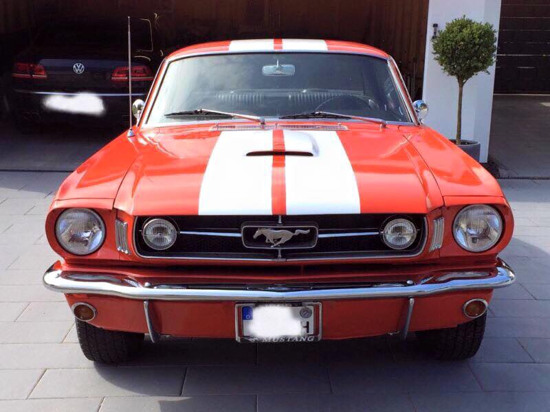 mustang1.jpg