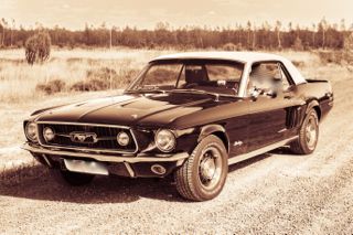 Mustang3.jpg