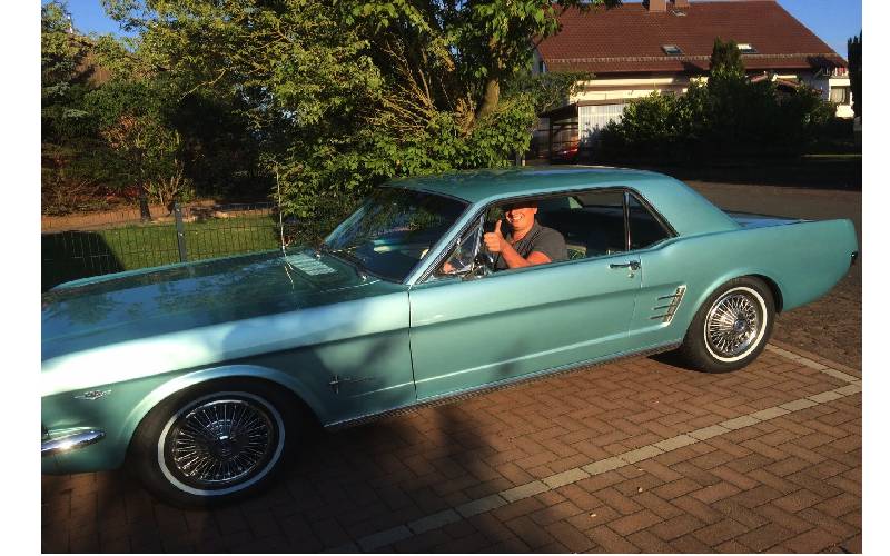 Mustang_1.jpg