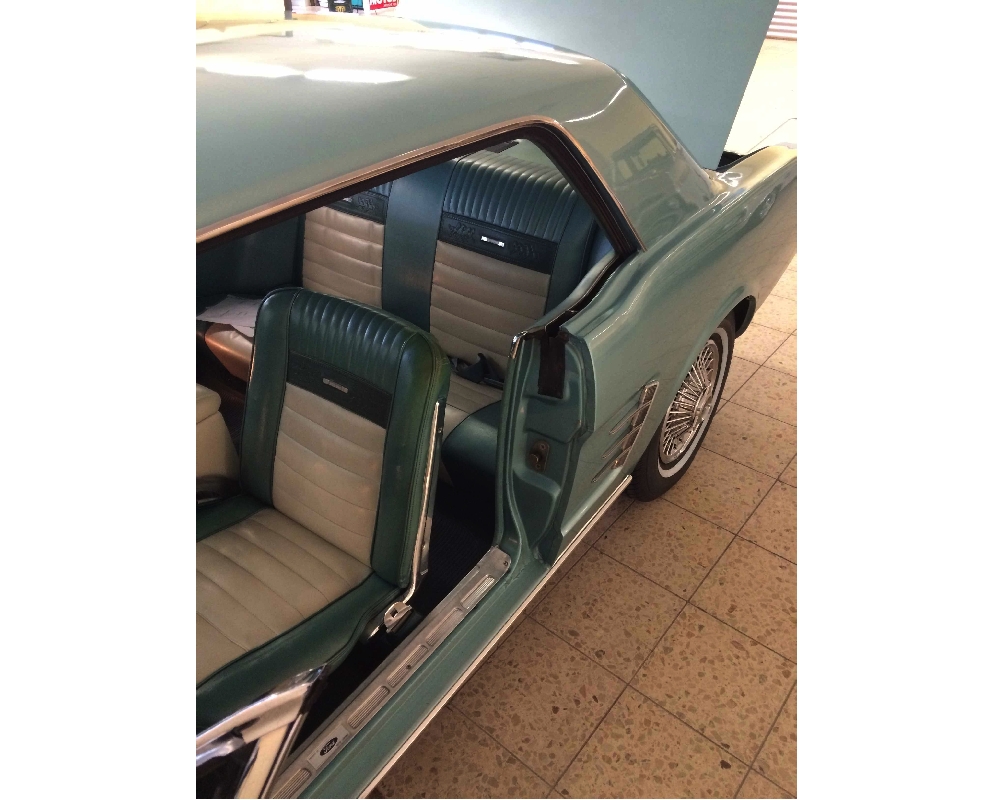 Mustang_2.jpg
