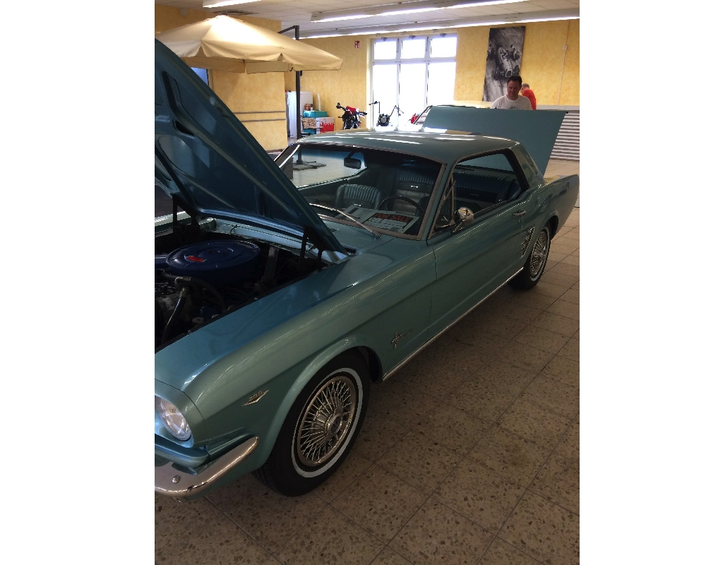 Mustang_3.jpg