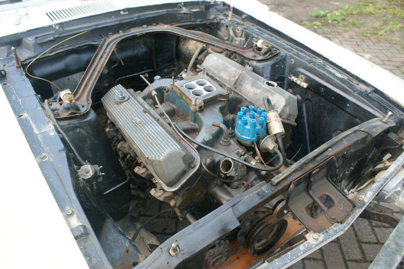 Foto6.JPG