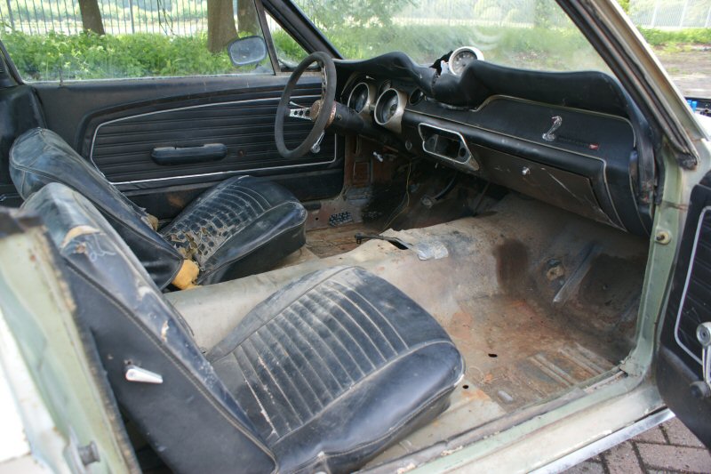 Foto3.JPG