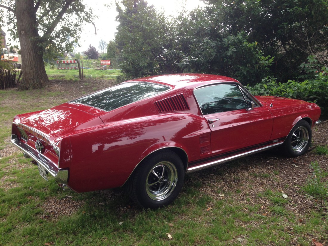 Mustang Side View 1100.jpg