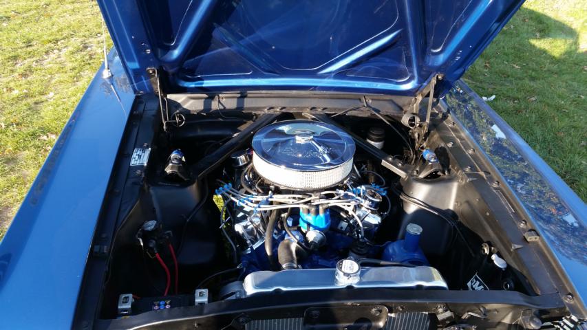 20151011_162836.JPG
