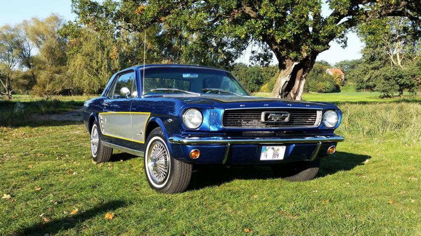 20151011_162740.JPG