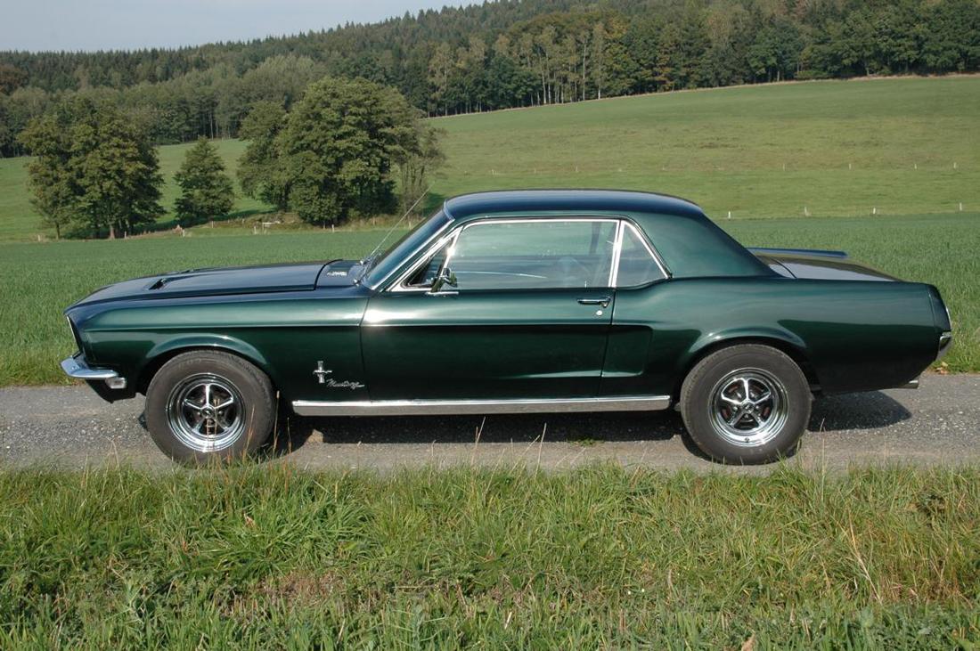 K1024_Mustang (1).JPG