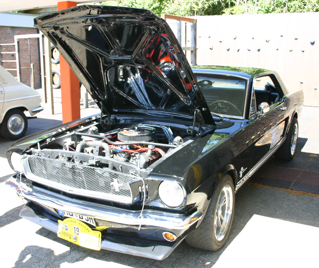Mustang.jpg
