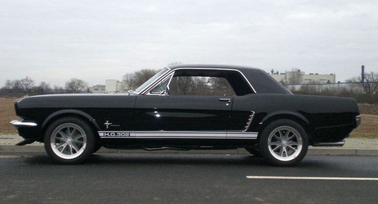 Mustang3.jpg