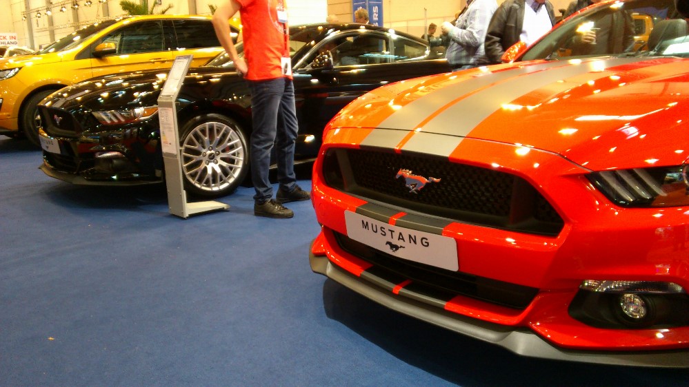 resized_DSC_0357.jpg